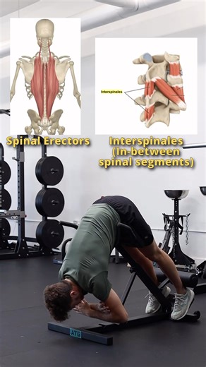 19K views · 507 reactions | 4 Step Back Rebuild Breakdown is live on Youtube! I hope you find clarity & confidence that regaining low back ability is a matter well within your reach. There are measurable qualities that we can build, starting from any level. Through a patient and deliberate blueprint of training. If more support and coaching is needed, the Back Breakthrough Blueprint has a few spots open now! #lowback #backpain #posture #mobility #training | Lowbackability | Facebook