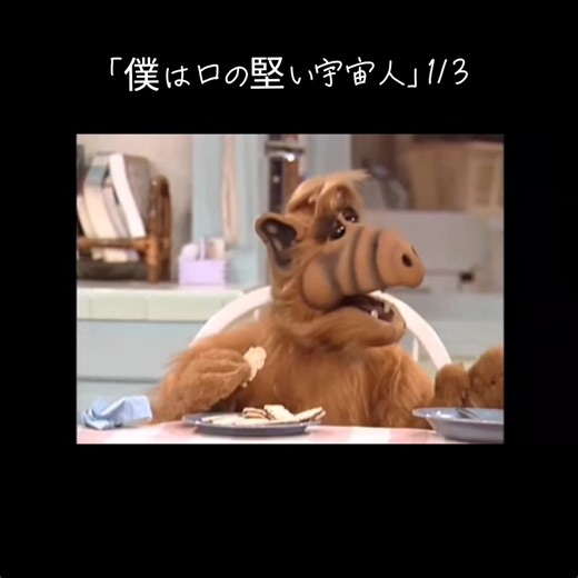 「僕は口の堅い宇宙人」1/3 #ALF #アルフ #エイリアン⁡ #alien #spacealien #宇宙人 ⁡ #americancomedy #americanTV⁡ #所ジョージ #メルマック⁡ #コメディドラマ #アメリカンコメディ⁡ #アメリカのドラマ #ドラマ #人形劇⁡ #テレビドラマ #TVドラマ #海外ドラマ⁡ ⁡ アメリカで1986年から1990年に放送していたコメディドラマ。⁡ 日本では1990年代前半〜後半にかけてNHK教育TVで放送していた。