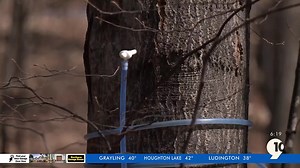 Out of the Woods Farm celebrates Maple Weekend despite ‘different’ season