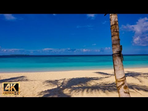 【アミラ・モルディブ 癒しビーチ】ターコイズブルーの海、波音＆リラクゼーションBGM｜Maldives beach ambience & relaxing sounds in 4K