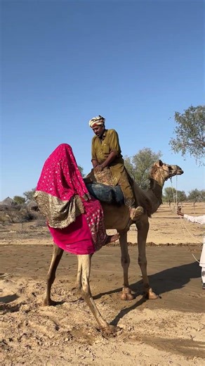 قصة إصرار فوق رمال الصحراء