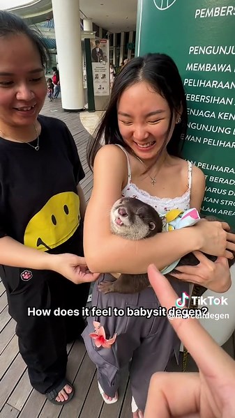 Degen Si Otter Babysitter: Part 1
