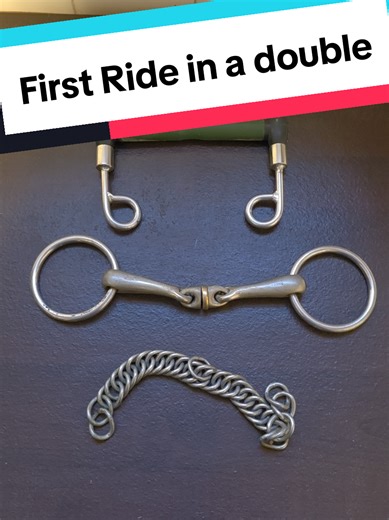 First time in the double bridle for my dressage horse #dressage #horseriding