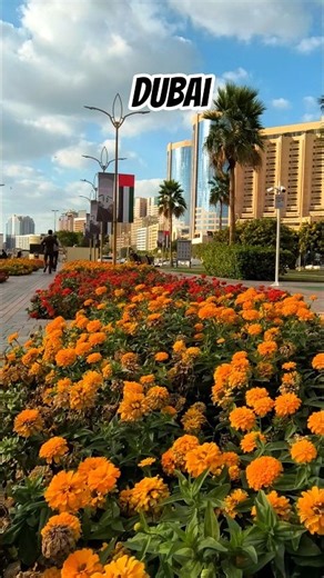 Dubai Tour ❤️🔥🔥
