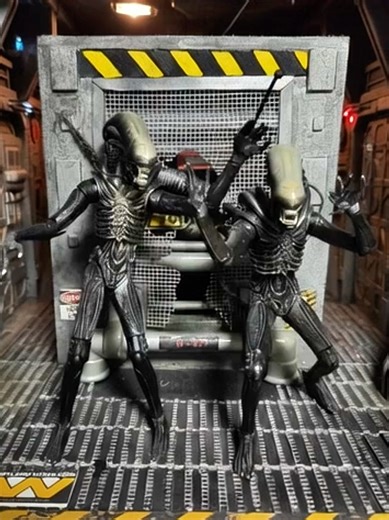 XENOMORPHS Y DIORAMA, SET DE DOS ALIEN BIG CHAP DE 8 PULGADAS, ORIGINALES NECA, MÁS DIORAMA DE CABINA WEYLAND-YUTANI. CÓMPRALO! ESCRÍBENOS AL WA 0994357027... #limited_edition_on_line #alien #neca #actionfigurescollection #actionfigures