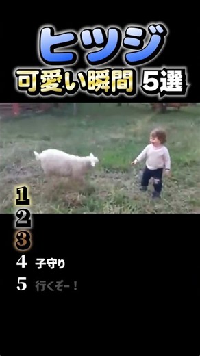 【羊の可愛い瞬間5選】#shrots #shrot