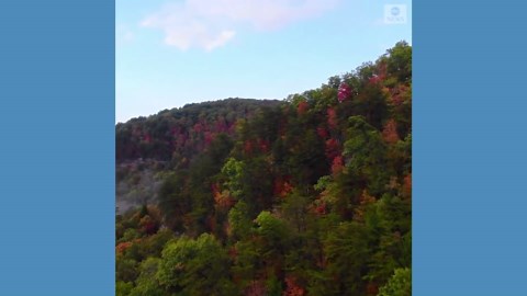 Fall foliage seen at Kentucky forest