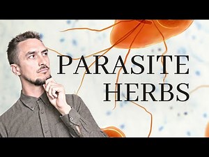 13 Herbs to CURE Parasite Infections
