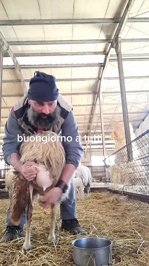 andreapastoredduo su TikTok