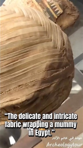 “The delicate and intricate fabric wrapping a mummy in Egypt.”