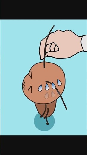 放开我 ...#animation #funny #cute#cockroach