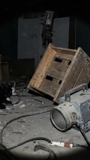 Ai Video #3dcartoon #animation #viralshorts #trending #ai #trendingshorts #shorts #DeepCartoon