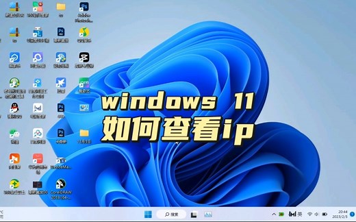 windows11如何查看ip地址