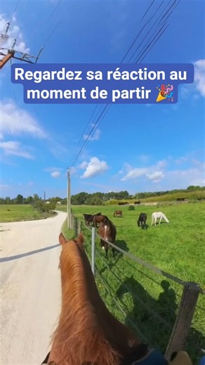 Quitter le troupeau pour partir en balade juste avec mon cheval : mission réussie !