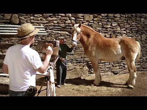 Painting Animals from Life—7 Tips for Success