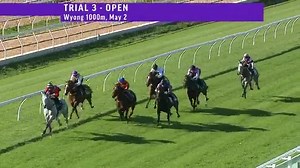 4.4K views · 232 reactions | Easy work for Kim Waugh's Nowra Cup winner French Bonnet to win a trial at Wyong Race Club on Tuesday. The grey held 2-1/2 lengths over Da Nang Star with Super Bright in third. TAB | Racing NSW | Facebook