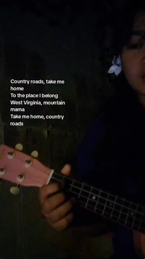 Take Me Home, Country Roads: A Heartfelt Cover