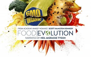 food.evolution.2016.1080p cht