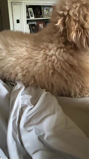 Smartest doodle ever! 👏🏻👏🏻👏🏻