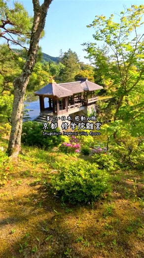 新緑に包まれる、京都最高峰の庭園美