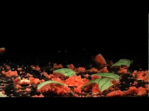 Slow Motion Watermelon Explosion Slow Mo of Exploding Water Melon after Dropping onto Black Surface