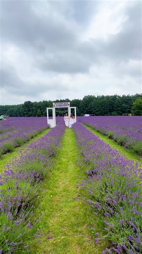 julia.vs.lilia на TikTok