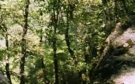 昆虫帝国 英语原声 alien empire 4