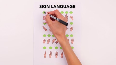 Sign language basics explained clearly✋