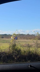 30-acre grass fire in Daisetta | Bluebonnet News