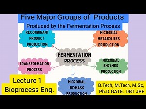 Fermentation|Production of Biomass|Enzymes|Microbial Metabolites|Recombinant Products|Transformation