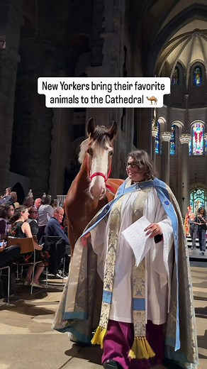 Blessing of the Animals at St. John the Divine NYC 2026
