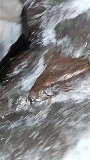 Relaxing Water Sounds for Sleep, Study & Meditation#naturevibes #nature#love#travelvibes #Asmrsound