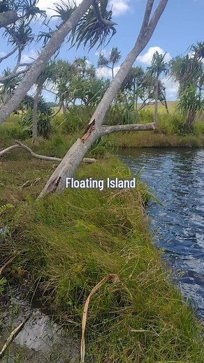 Exploring the Magical Floating Island in Fiji