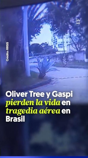 TRAGEDIA EN BRASIL: fallecen Oliver Tree y Gaspi en accidente de helicóptero