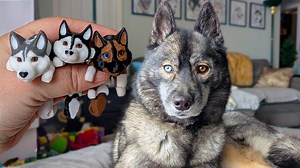 4.1K views · 313 reactions | Today is my last day before I head to Vegas for CES! The dogs are overly loving today! I think they know I am leaving! Also, we finally dropped the 3d printed versions of the dogs today! (orgnilaly uploaded Jan 13, 2025 to YT) | Snow Dogs Vlogs | Facebook