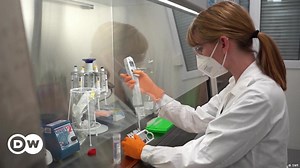 ARNm: el mensajero del genoma