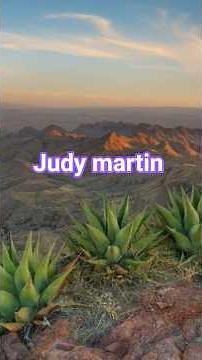 WWE Judy martin tribute #wrestling #wwf