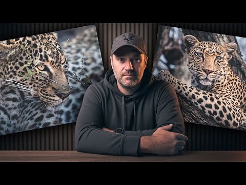 How I Actually Create My Wildlife Photos