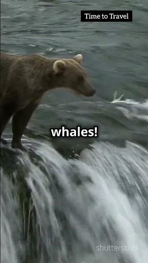 Angoon | Top 7 Best Places To Visit in Angoon Alaska | Angoon Alaska