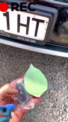 StealthLeaf™ on TikTok