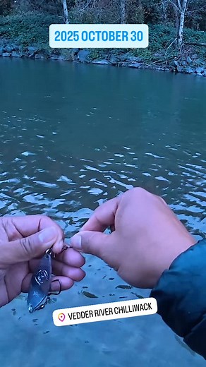 Chasing Coho Salmon love with the first light and a lucky spoon. @riveroutlawlures 🎣🔥 #coho #chilliwackfishing #vedderriverfishing #spinnerfishing #freshwatersalmonfishing #shorefishing #vancouverfishing #britishcolumbiafishing #canadafishing #noypish #salmonfishing #salmon #pacificsalmon #pacificsalmonfishing #shimanovanford #gloomisflyfishing #fishingadventure #chinookfishing #hatcherycoho #filipinofisherman #stanleyparkvancouver #patagoniavancouver #pnwfishing #mobynets #explorebc #westvanc