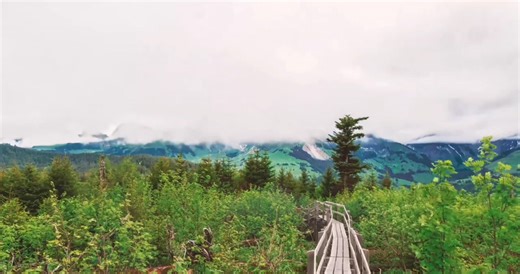 𝑻𝑯𝑬 𝑮𝑰𝑭𝑻 𝒃𝒚: 𝑱𝑰𝑴 𝑩𝑹𝑰𝑪𝑲𝑴𝑨𝑵 #musicvideo #themusicofyesterday #music #musicislife #musiclovers #musicfestival | 𝐁-𝐒𝐇𝐀𝐑𝐏 𝐌𝐔𝐒𝐈𝐂