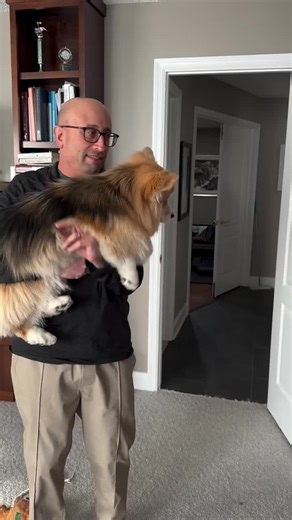 Beans fails that TikTok challenge. I’m not sure was meant for short stumpers. #dogwallchallenge #corgi