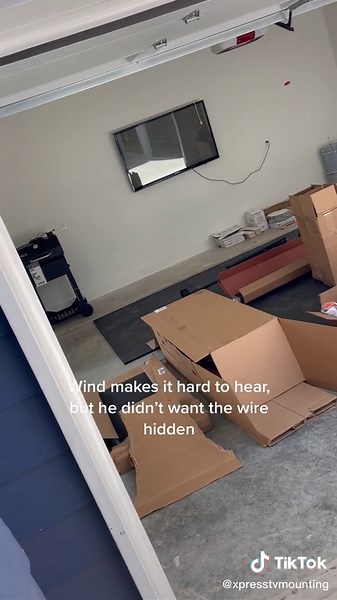 TV Mounting, Nest Thermostat Installation, and Speaker Setup