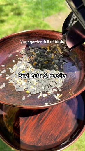 A bird bath and feeder in one 🤍 Your backyard and garden will be full of birds this summer ✨ #birdbath #birdfeeder #garden #peacefull #birdsoftiktok