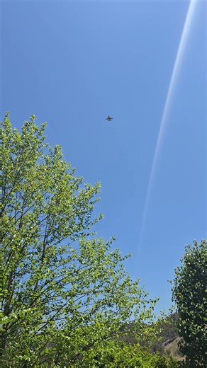 Sarah White on Reels