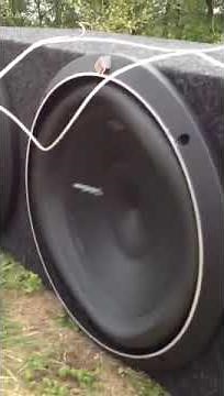 Rockford Fosgate 12" P2D2s