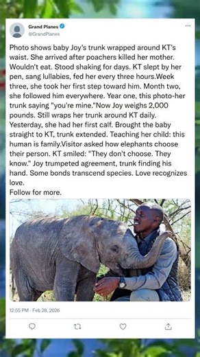 When She Found Her Dad — Against All Odds#EmotionalStory #WildlifeConnection