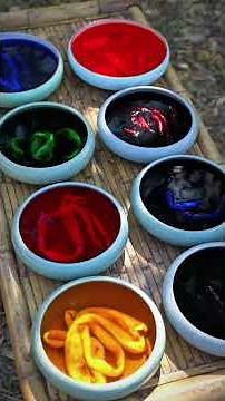 From silkworm to elegance: the story of silk