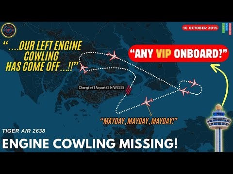Distressed Pilot Declares Emergency — Then Controller Makes It WORSE! TigerAir (2015) #atc